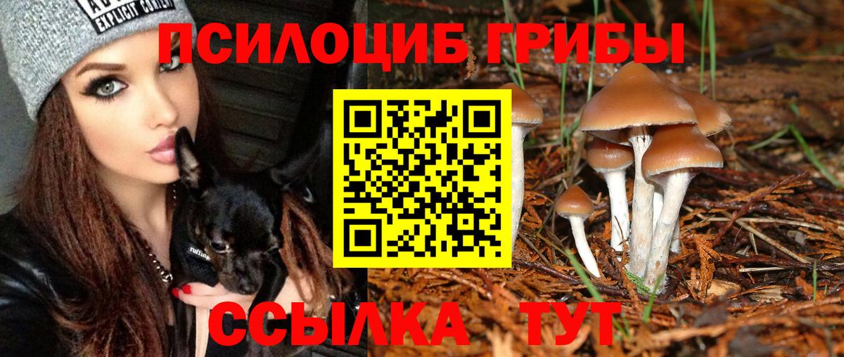 наркотики  Псилоцибиновые грибы мицелий  Вход с VPN  Петропавловск-Камчатский 